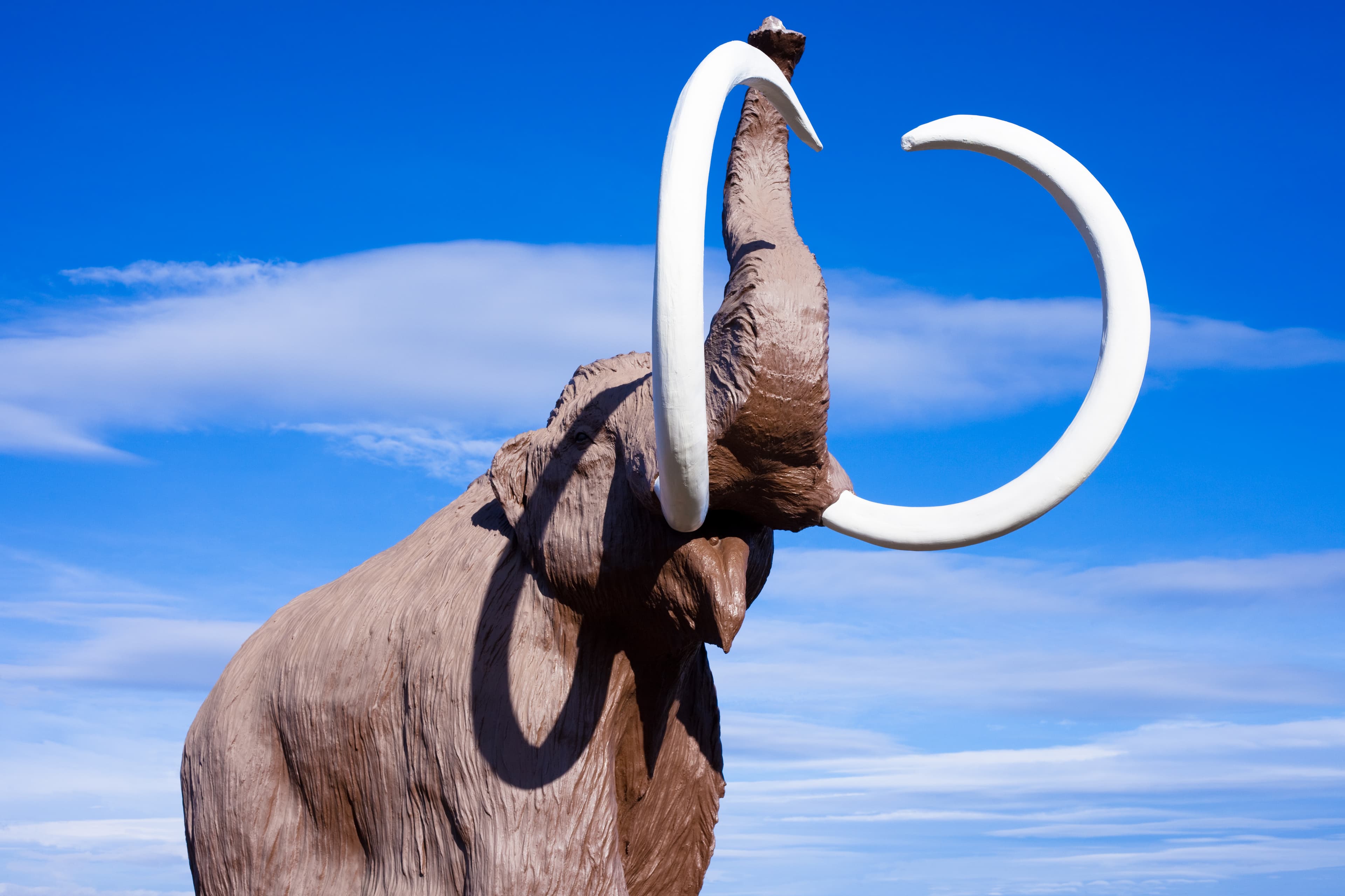 Where We Started Image